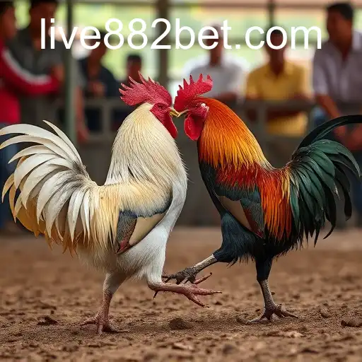 Exploring Sabong Games: A Deep Dive into 882bet PH Login